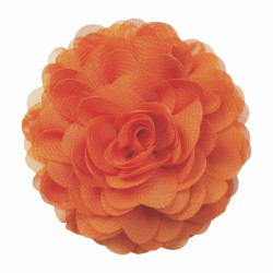 Carrot chiffon corsage