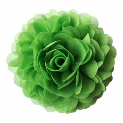 Seedling chiffon corsage