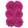 Chiffon raspberry 6x
