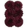 Chiffon beetred 6x