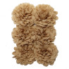Chiffon Biscuit 6x