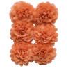 Chiffon Cantaloupe 6x