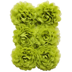 Chiffon Fennel 6x