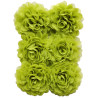 Chiffon Fennel 6x