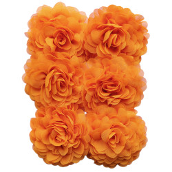 Chiffon Spritz 6x